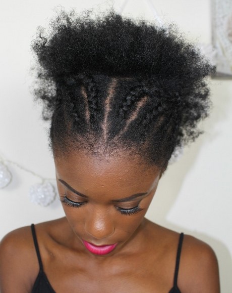 Afro haar stijlen afro-haar-stijlen-07_18