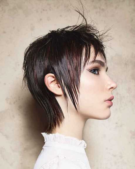 Haarkleur korte kapsels 2022 haarkleur-korte-kapsels-2022-70_9