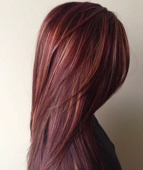 Bruin rood haarkleur bruin-rood-haarkleur-20_2