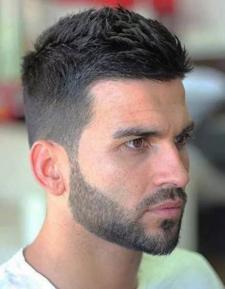 Beste haarstijlen mannen beste-haarstijlen-mannen-87_8-19