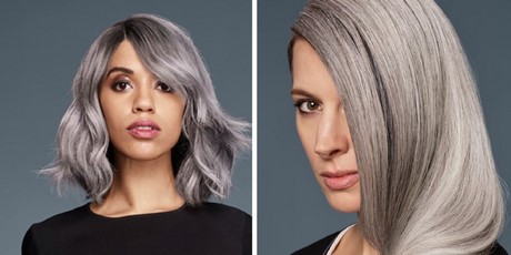 Zilver grijs haar zilver-grijs-haar-46_15